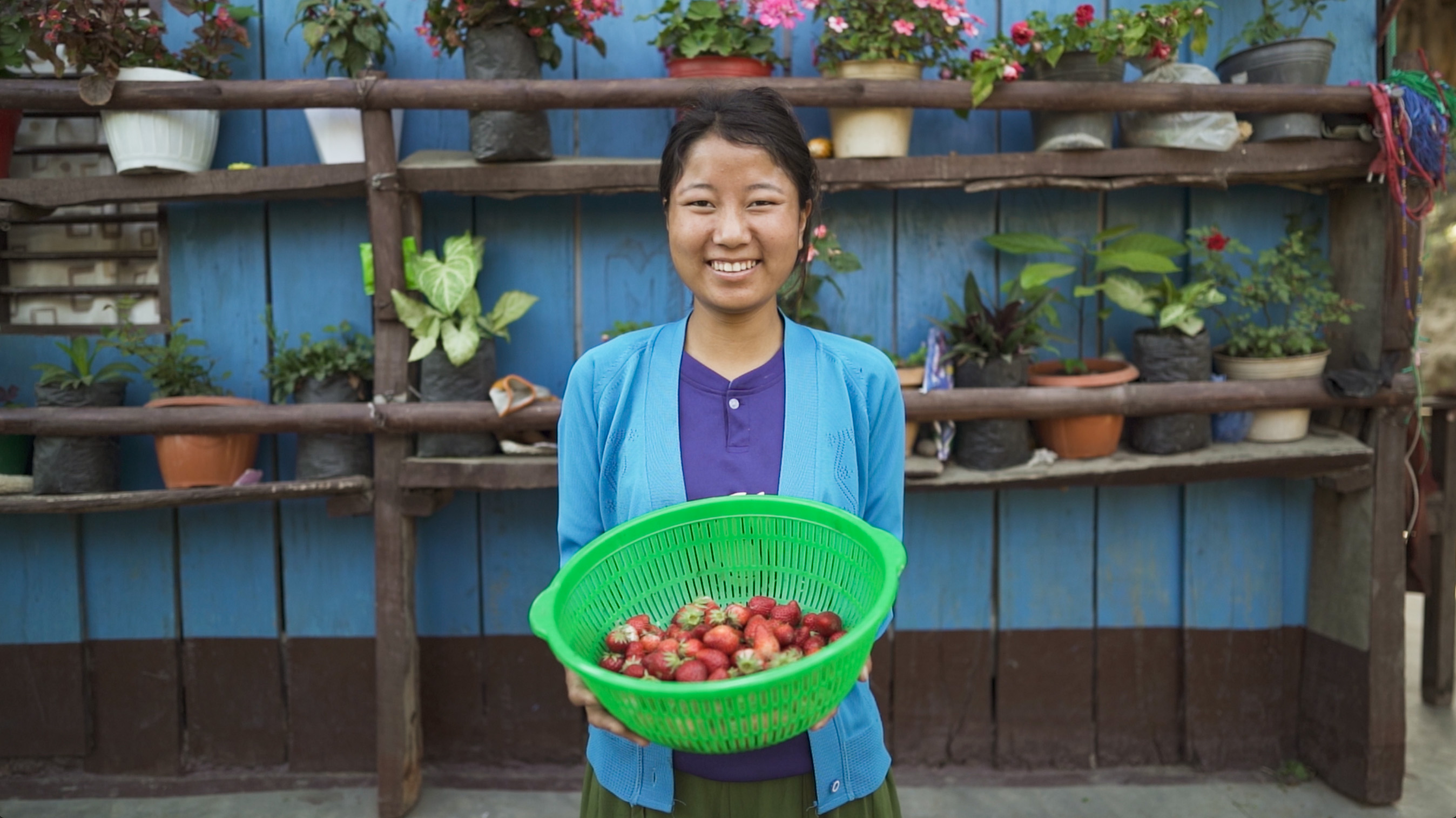 A smiling person presents a colander of strawberries. There are rows of potted plants in the background.
